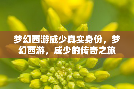 梦幻西游威少真实身份，梦幻西游，威少的传奇之旅
