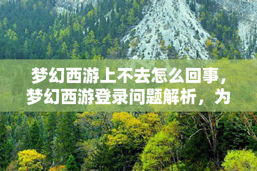 梦幻西游上不去怎么回事，梦幻西游登录问题解析，为何无法顺利登录？