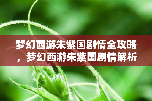 梦幻西游朱紫国剧情全攻略，梦幻西游朱紫国剧情解析，一场跨越三界的爱恨交织之旅