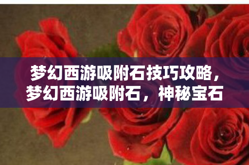 梦幻西游吸附石技巧攻略，梦幻西游吸附石，神秘宝石的奥秘与魅力