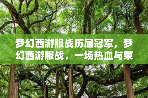 梦幻西游服战历届冠军，梦幻西游服战，一场热血与荣耀的较量