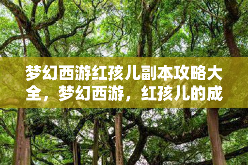 梦幻西游红孩儿副本攻略大全，梦幻西游，红孩儿的成长与挑战