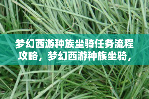 梦幻西游种族坐骑任务流程攻略，梦幻西游种族坐骑，探寻神秘力量之源