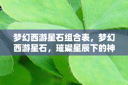 梦幻西游星石组合表，梦幻西游星石，璀璨星辰下的神秘力量