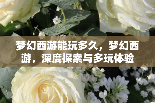 梦幻西游能玩多久，梦幻西游，深度探索与多玩体验