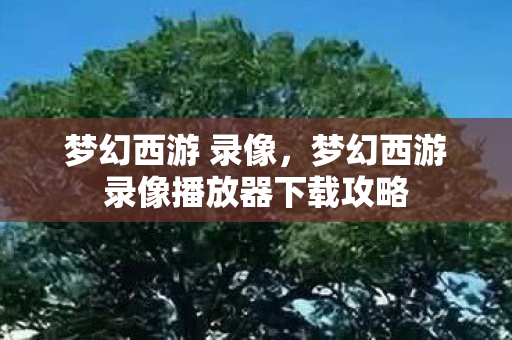 梦幻西游 录像，梦幻西游录像播放器下载攻略