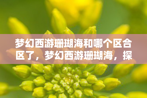 梦幻西游珊瑚海和哪个区合区了，梦幻西游珊瑚海，探索神秘海域的奇幻之旅