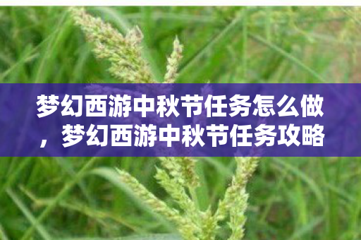 梦幻西游中秋节任务怎么做，梦幻西游中秋节任务攻略，月圆之夜，共赏佳节盛景