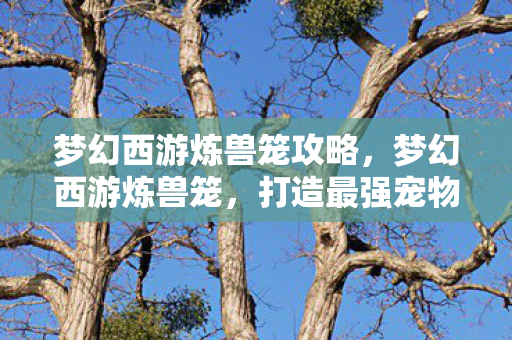 梦幻西游炼兽笼攻略，梦幻西游炼兽笼，打造最强宠物的秘密武器