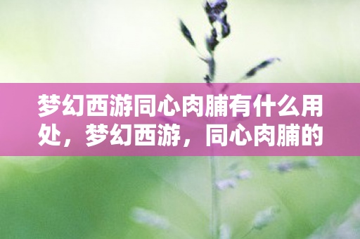 梦幻西游同心肉脯有什么用处，梦幻西游，同心肉脯的魅力与独特之处