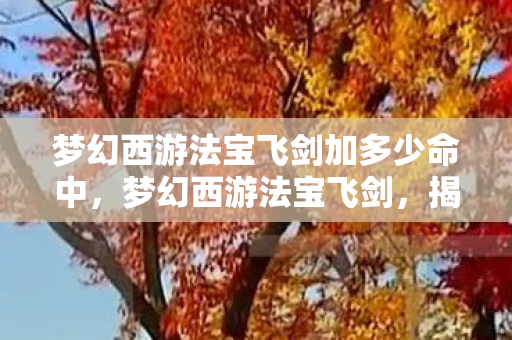 梦幻西游法宝飞剑加多少命中，梦幻西游法宝飞剑，揭秘神秘力量之源