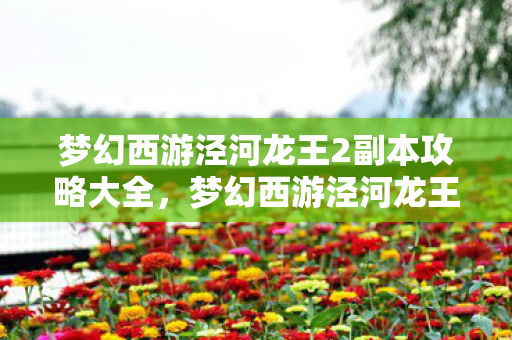 梦幻西游泾河龙王2副本攻略大全，梦幻西游泾河龙王2副本攻略
