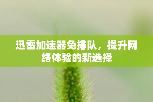 迅雷加速器免排队，提升网络体验的新选择