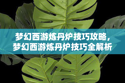 梦幻西游炼丹炉技巧攻略，梦幻西游炼丹炉技巧全解析，从入门到精通