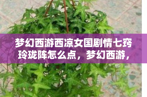 梦幻西游西凉女国剧情七窍玲珑阵怎么点，梦幻西游，西凉女国的神秘剧情