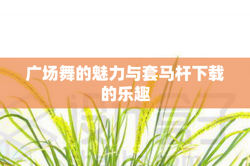 广场舞的魅力与套马杆下载的乐趣 广场舞的魅力与套马杆下载的乐趣