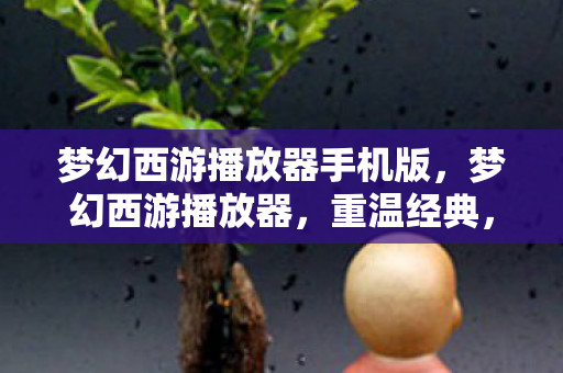 梦幻西游播放器手机版，梦幻西游播放器，重温经典，感受西游魅力