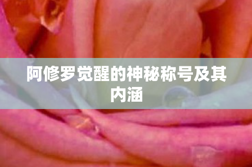 阿修罗觉醒的神秘称号及其内涵
