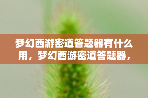 梦幻西游密道答题器有什么用，梦幻西游密道答题器，游戏小助手助你轻松通关密道
