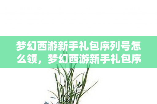 梦幻西游新手礼包序列号怎么领，梦幻西游新手礼包序列号攻略