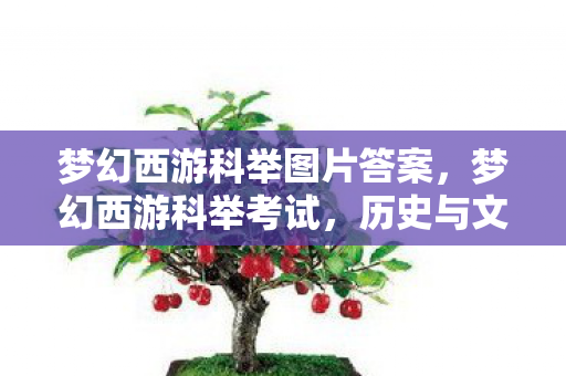 梦幻西游科举图片答案，梦幻西游科举考试，历史与文化的再现
