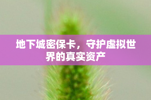 地下城密保卡，守护虚拟世界的真实资产