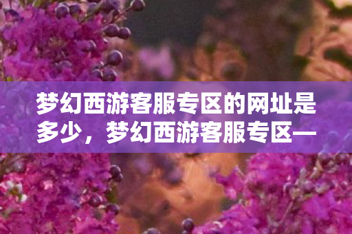 梦幻西游客服专区的网址是多少，梦幻西游客服专区—解决你游戏中遇到的所有疑难杂症