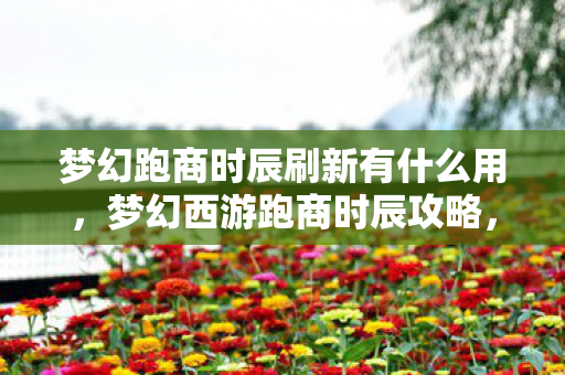 梦幻跑商时辰刷新有什么用，梦幻西游跑商时辰攻略，掌握最佳时机，轻松致富！