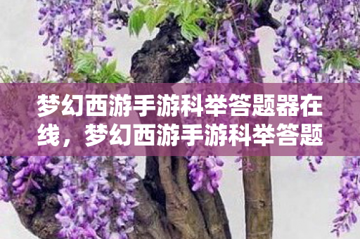 梦幻西游手游科举答题器在线，梦幻西游手游科举答题器，助力你的科举之路