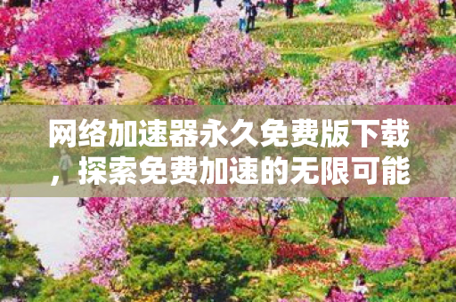 网络加速器永久免费版下载，探索免费加速的无限可能