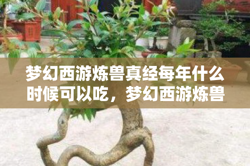 梦幻西游炼兽真经每年什么时候可以吃，梦幻西游炼兽真经，提升宠物实力，踏上三界之巅