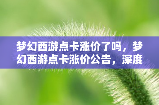 梦幻西游点卡涨价了吗，梦幻西游点卡涨价公告，深度解析与玩家应对策略