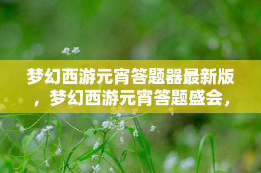 梦幻西游元宵答题器最新版，梦幻西游元宵答题盛会，一场知识与智慧的较量