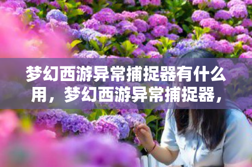 梦幻西游异常捕捉器有什么用，梦幻西游异常捕捉器，守护你的游戏世界，轻松解决疑难杂症