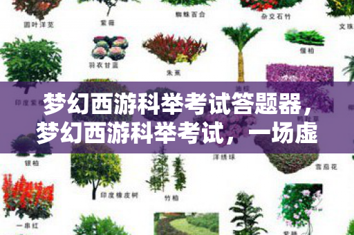 梦幻西游科举考试答题器，梦幻西游科举考试，一场虚拟世界的智慧角逐