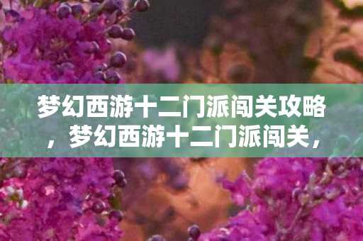 梦幻西游十二门派闯关攻略，梦幻西游十二门派闯关，一场别开生面的冒险之旅