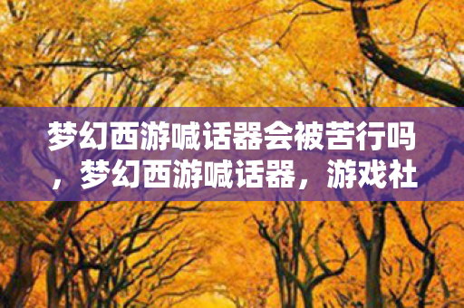 梦幻西游喊话器会被苦行吗，梦幻西游喊话器，游戏社交的新体验