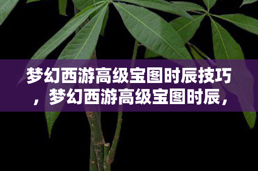 梦幻西游高级宝图时辰技巧，梦幻西游高级宝图时辰，探寻最佳寻宝时刻