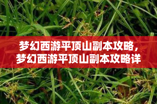 梦幻西游平顶山副本攻略，梦幻西游平顶山副本攻略详解