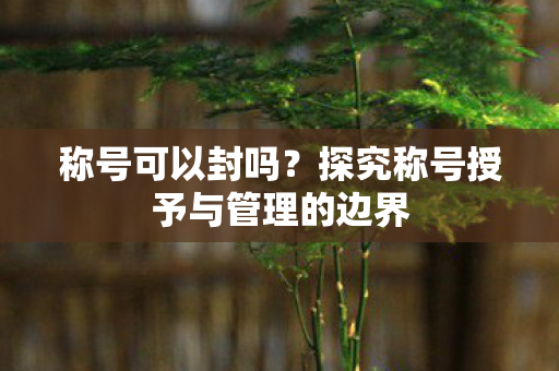 称号可以封吗？探究称号授予与管理的边界