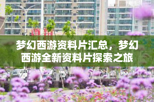 梦幻西游资料片汇总，梦幻西游全新资料片探索之旅
