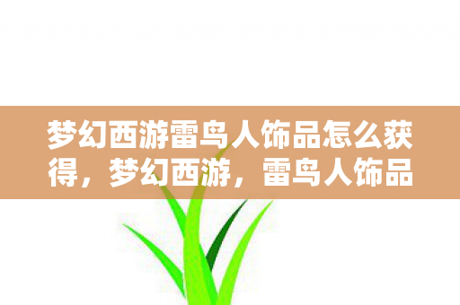 梦幻西游雷鸟人饰品怎么获得，梦幻西游，雷鸟人饰品的奇幻魅力