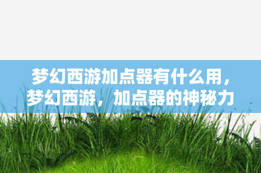 梦幻西游加点器有什么用，梦幻西游，加点器的神秘力量