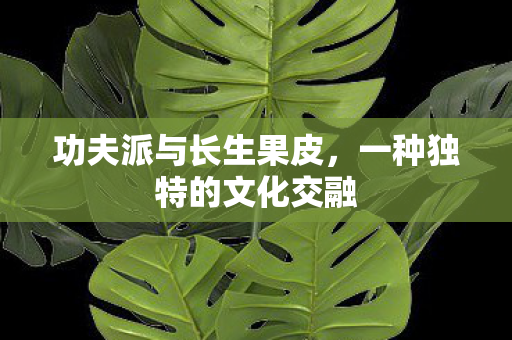 功夫派与长生果皮，一种独特的文化交融