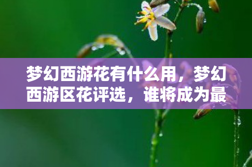 梦幻西游花有什么用，梦幻西游区花评选，谁将成为最美的区域之星？