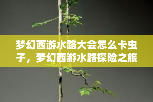梦幻西游水路大会怎么卡虫子，梦幻西游水路探险之旅