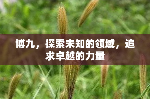 博九，探索未知的领域，追求卓越的力量