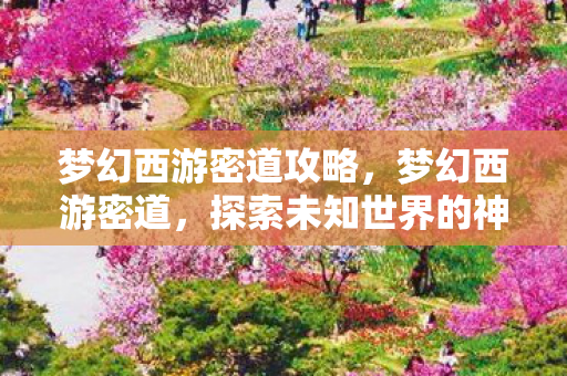 梦幻西游密道攻略，梦幻西游密道，探索未知世界的神秘之门