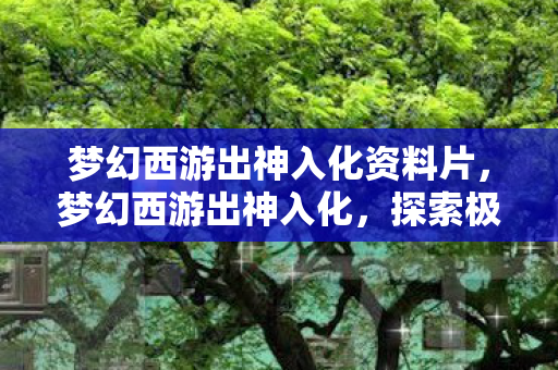 梦幻西游出神入化资料片，梦幻西游出神入化，探索极致游戏体验