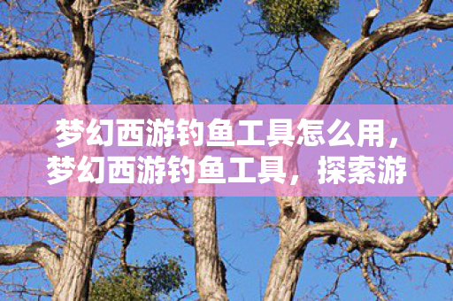 梦幻西游钓鱼工具怎么用，梦幻西游钓鱼工具，探索游戏中的垂钓乐趣